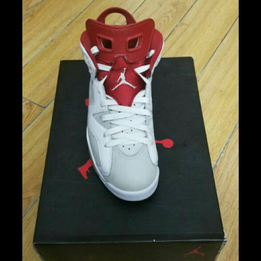 Jordan 6 Alternates